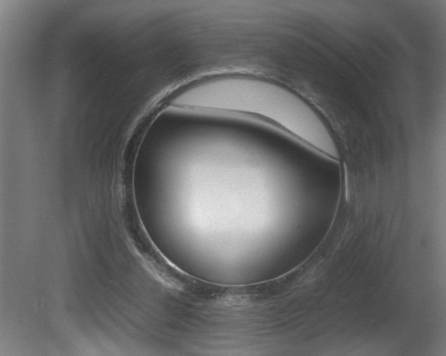 X0000081310252200701111010
