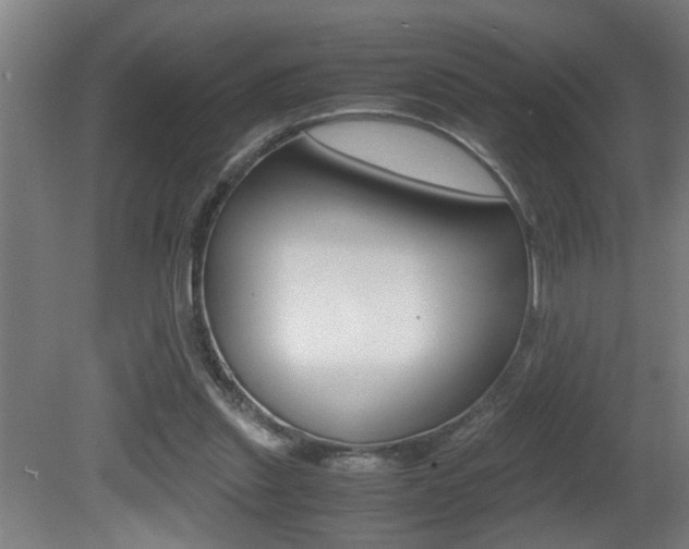 X0000081310253200701111010