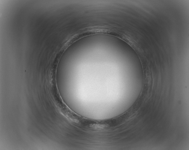 X0000081310255200701111010