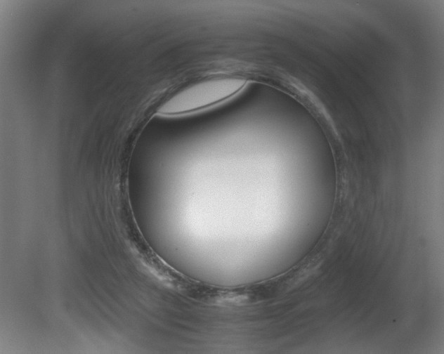 X0000081310257200701111010