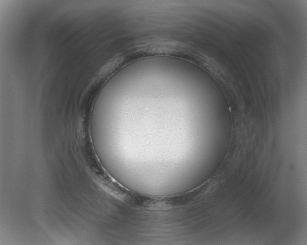 X0000081310258200701111010