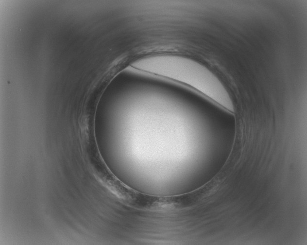 X0000081310260200701111010