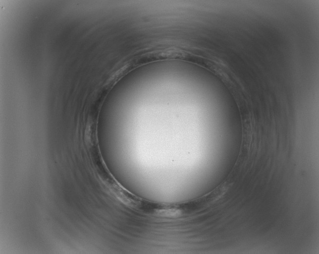 X0000081310266200701111010