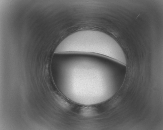 X0000081310269200701111010