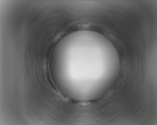 X0000081310274200701111010