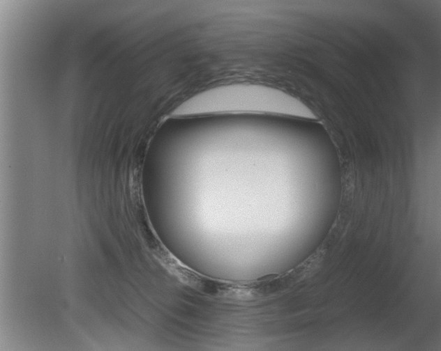 X0000081310276200701111010