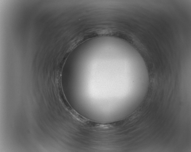 X0000081310277200701111010