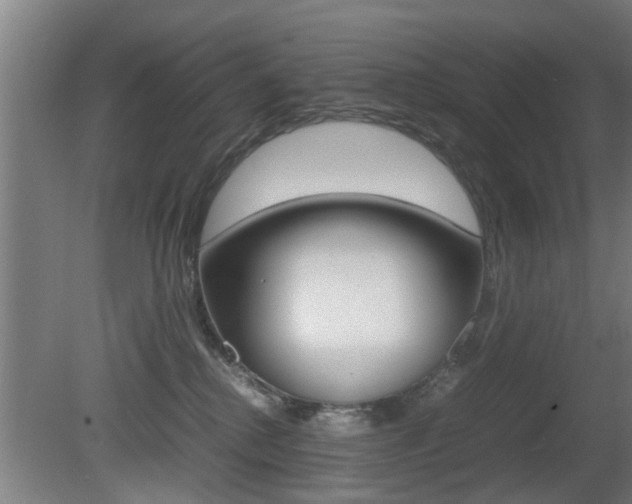 X0000081310280200701111010
