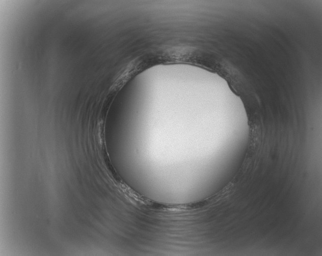 X0000081310286200701111010