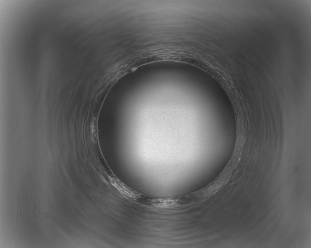 X0000081310288200701111010