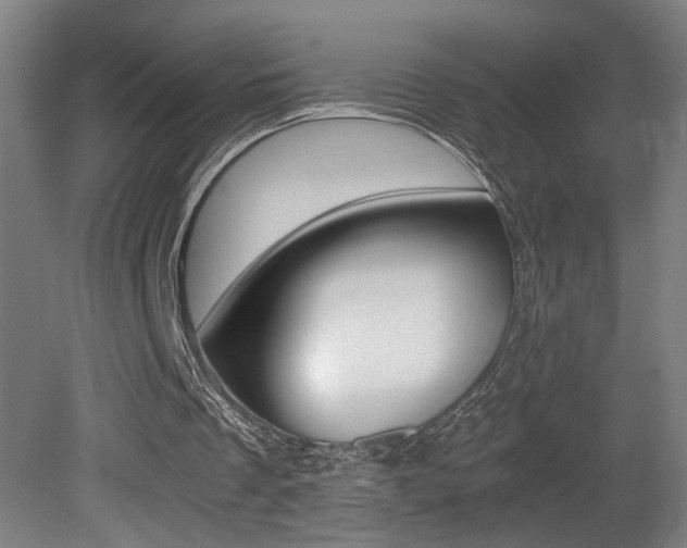 X0000081310289200701111010
