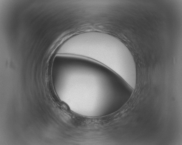 X0000081310291200701111009
