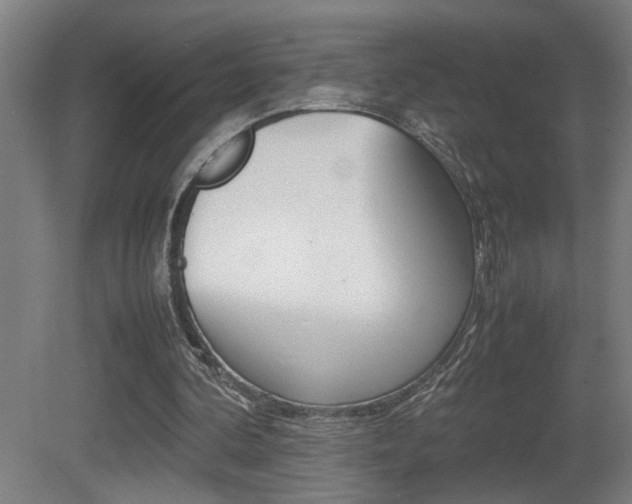 X0000081310292200701111009