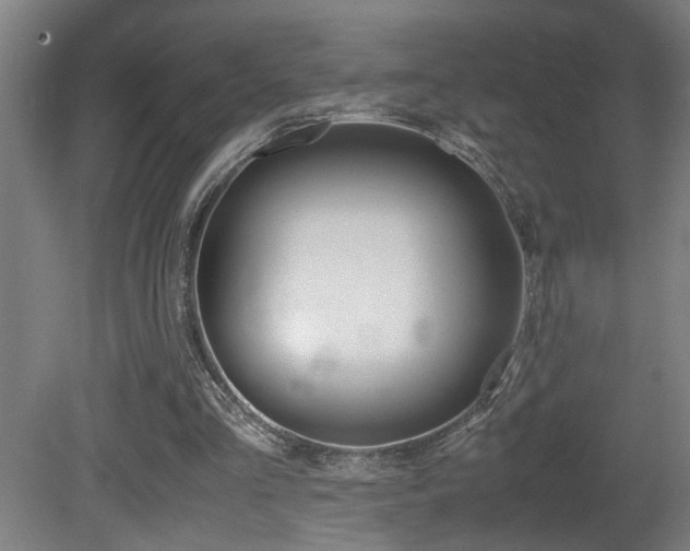 X0000081310293200701111009