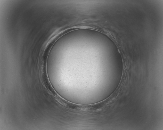 X0000081310295200701111009