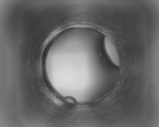 X0000081310296200701111009