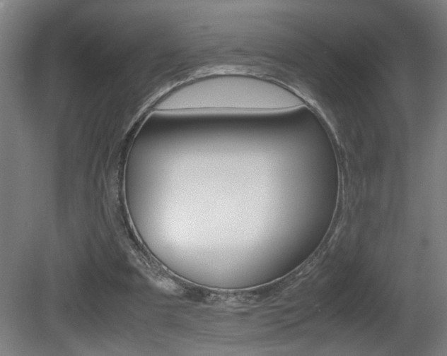 X0000081310297200701111009