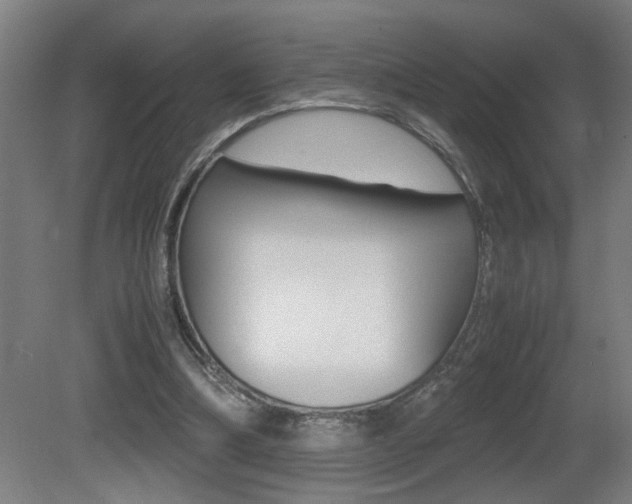 X0000081310298200701111009