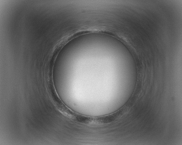 X0000081310303200701111009