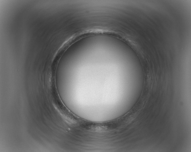 X0000081310304200701111009