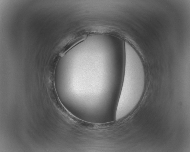 X0000081310305200701111009