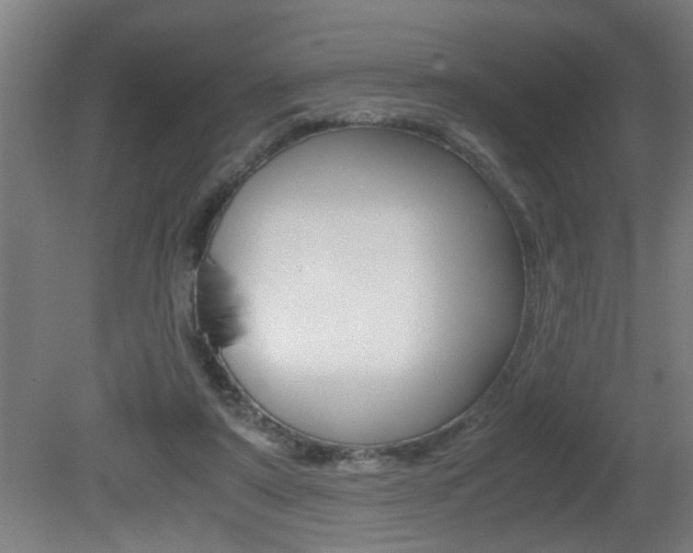 X0000081310307200701111009