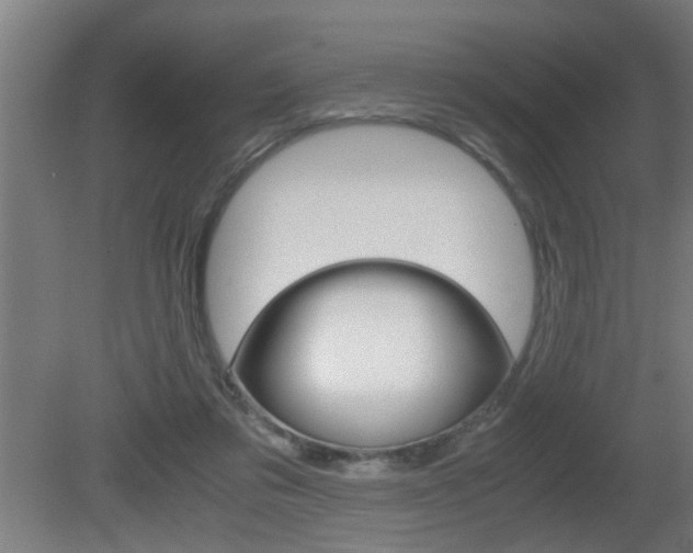 X0000081310309200701111009