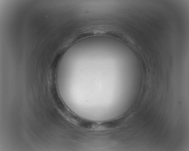 X0000081310311200701111009
