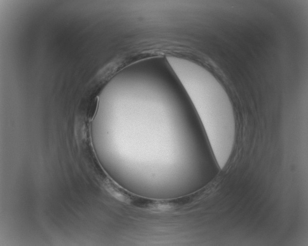 X0000081310313200701111009