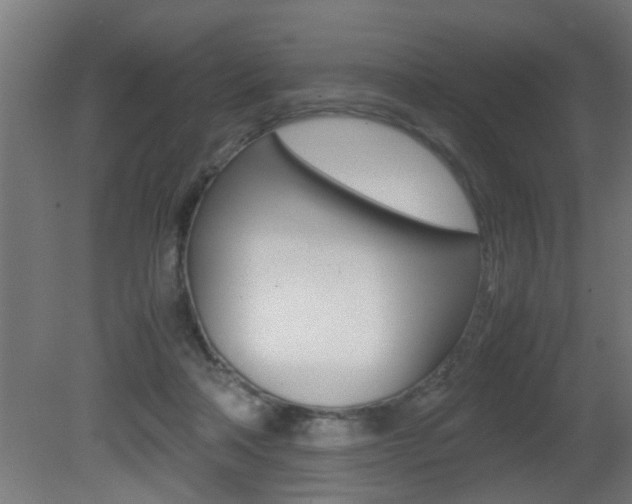 X0000081310314200701111009