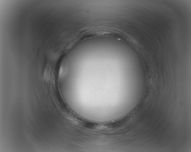 X0000081310315200701111009
