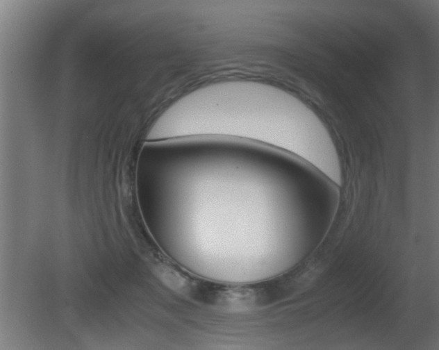X0000081310317200701111009