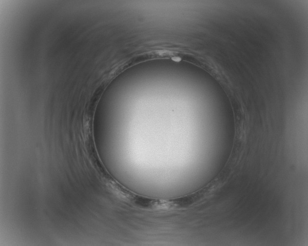X0000081310321200701111009