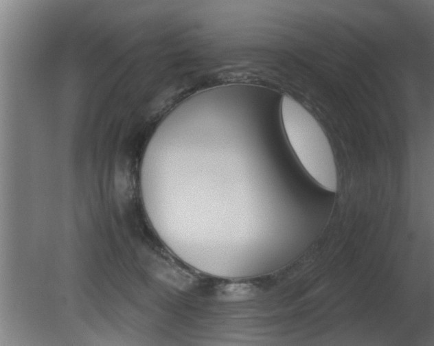 X0000081310324200701111009