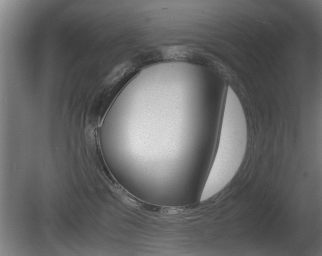 X0000081310329200701111009