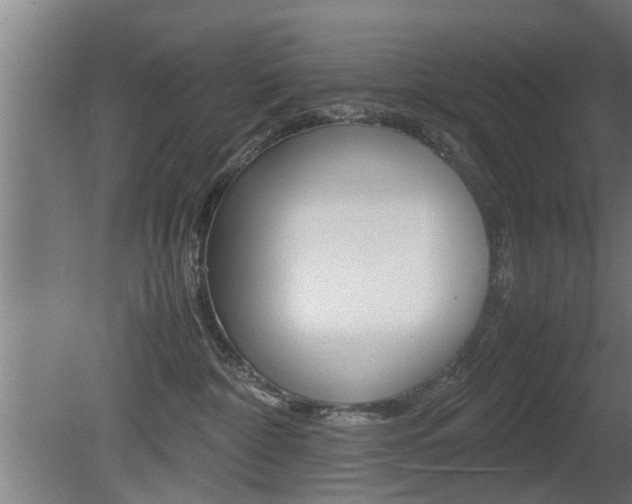 X0000081310332200701111009