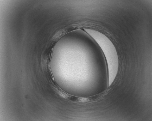 X0000081310333200701111009