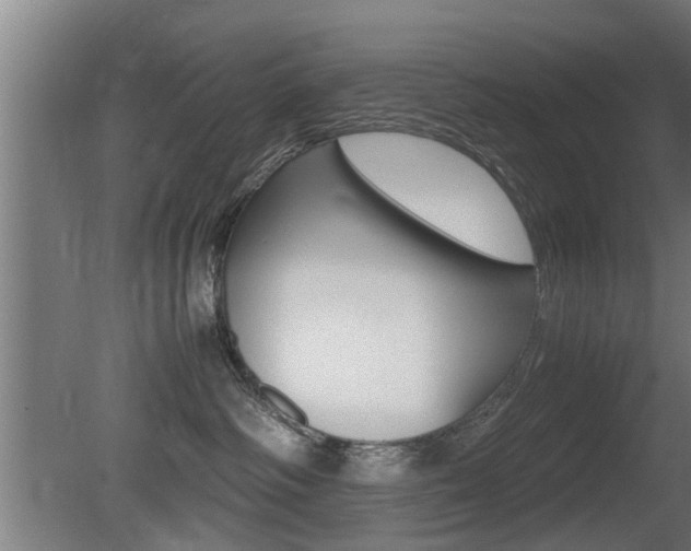 X0000081310334200701111009