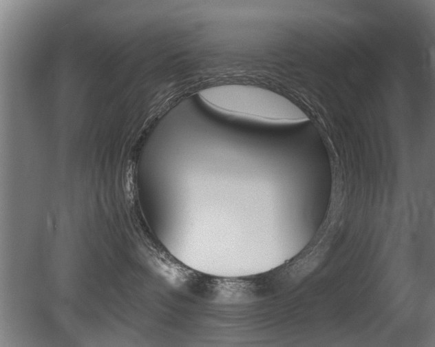 X0000081310336200701111009