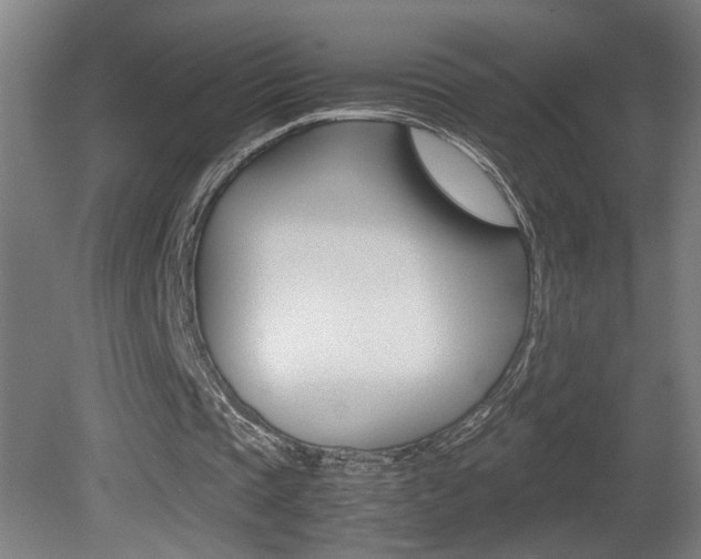 X0000081310337200701111008