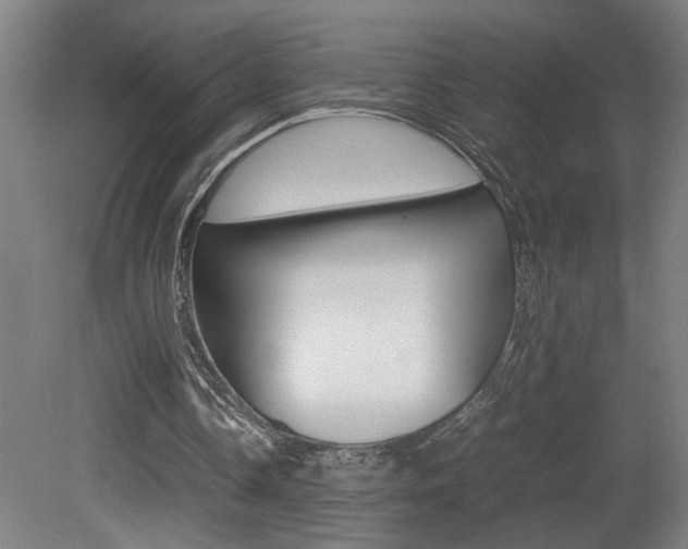 X0000081310338200701111008