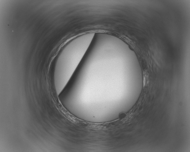 X0000081310339200701111008