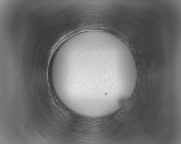 X0000081310340200701111008