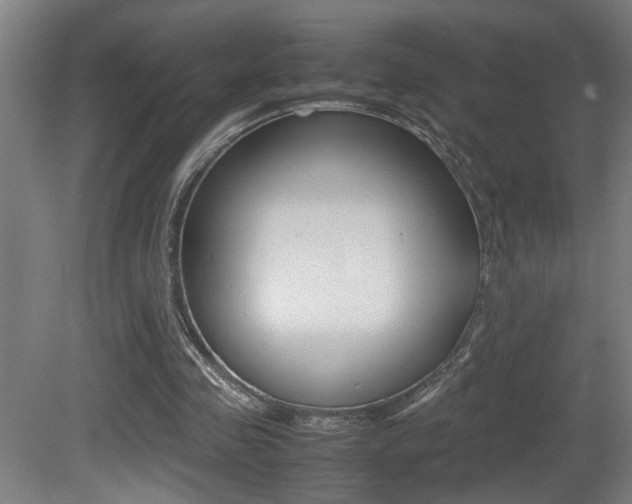 X0000081310341200701111008