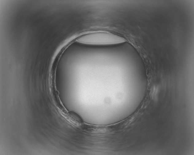X0000081310342200701111008