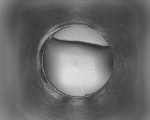 X0000081310343200701111008