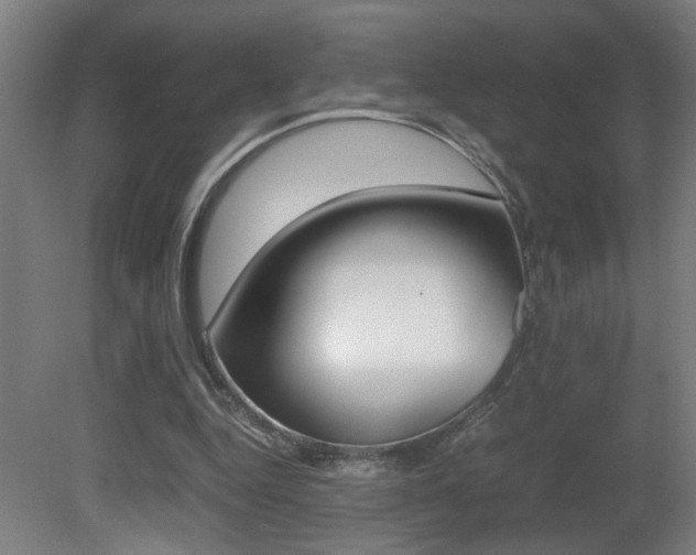 X0000081310344200701111008