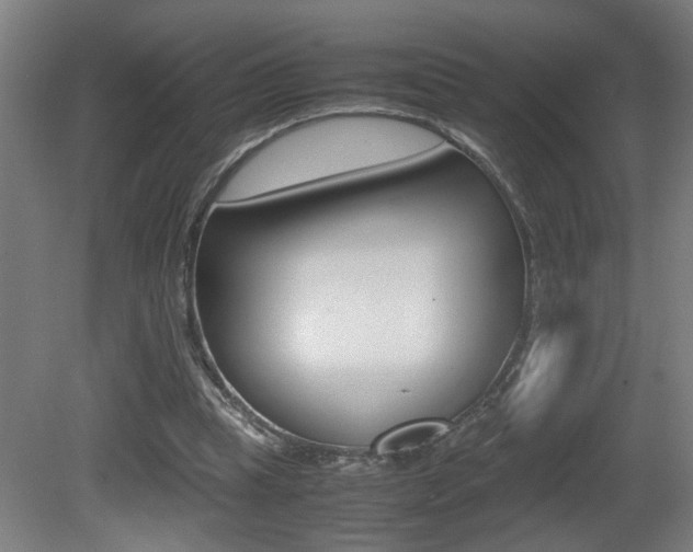 X0000081310345200701111008