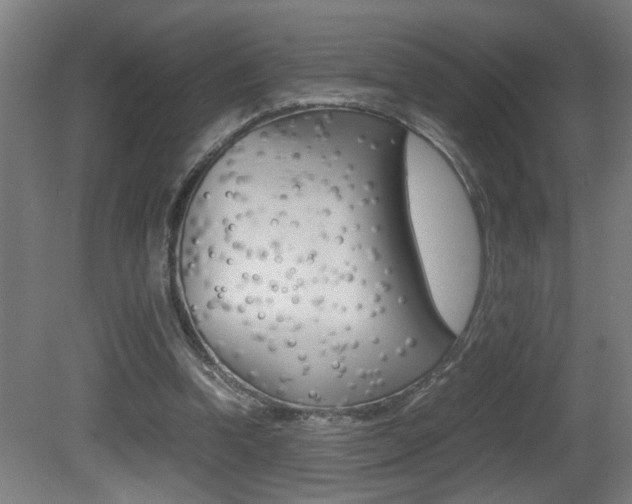 X0000081310346200701111008