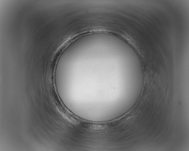 X0000081310347200701111008